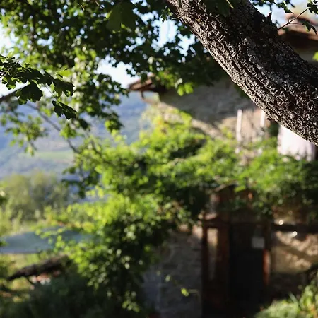 Podere Countryhouse Torremozza ファームステイ